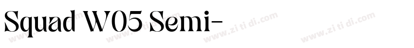 Squad W05 Semi字体转换